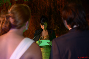 A_0368.jpg