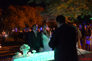 A_0384.jpg